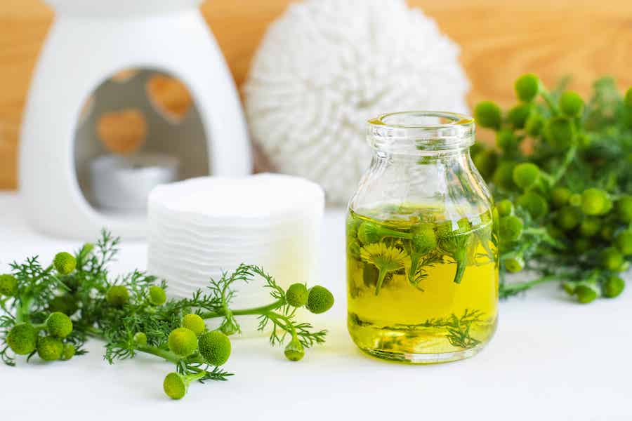 La camomille, un remède naturel contre les conjonctivites