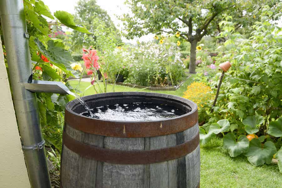 Eau de pluie : tout savoir sur le récupérateur d'eau de pluie