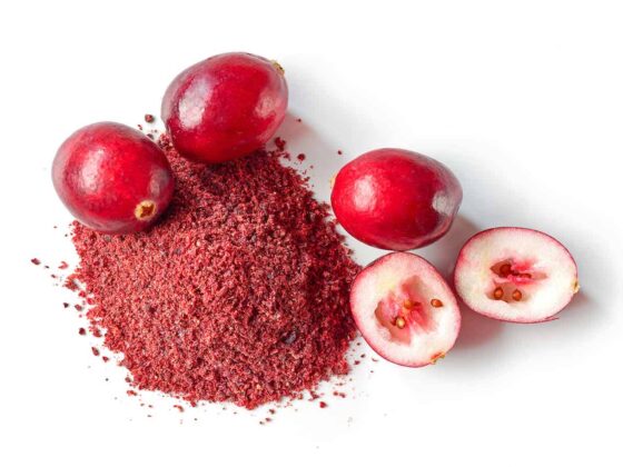 La canneberge, ses multiples vertus