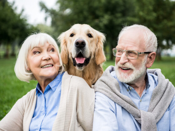 Le chien, bon pour le cœur