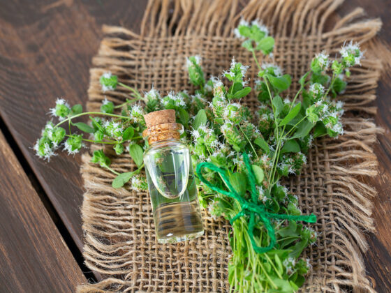 Quelle huile essentielle pour retrouver le sommeil ?